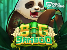 Casino panda slots2